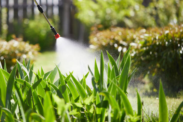 24/7 Emergency Mosquito Control experts in Eloy, AZ