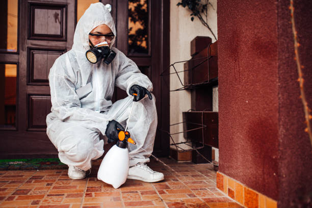 Reliable Mosquito Control contractor in Eloy, AZ by Show Me Pest Control